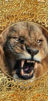 Dynamic lion face with golden decorative frame.