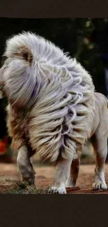 Hybrid lion with flowing mane on a serene background.