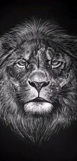 Black and white lion illustration on black background.