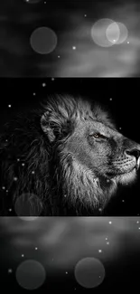 Black and white majestic lion portrait with a starry background.