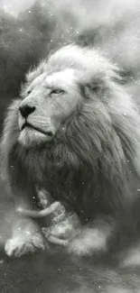 Majestic lion in black and white photographic art.