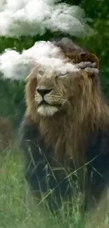 Lion in a cloudy scene with lush green background.