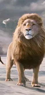 Majestic lion standing on a sand desert with a dramatic sky backdrop.