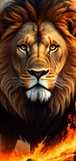 Majestic lion surrounded by flames in a vibrant mobile wallpaper.