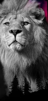 Black and white majestic lion in a forest silhouette.