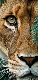 Close-up of a lion in nature with green foliage.