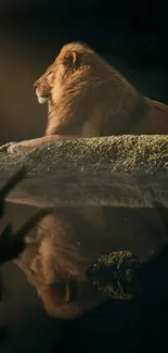 Majestic lion on mossy rock, reflected in tranquil water.