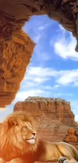 Lion resting in a rocky desert landscape under blue skies.