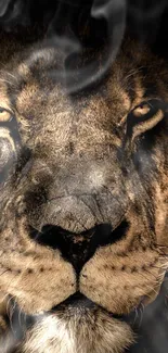 Close-up of a majestic lion's face with surrounding smoke.