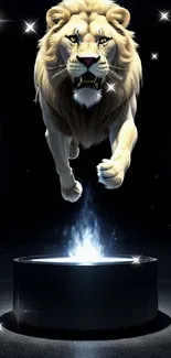 Lion majestically leaping in spotlight with dramatic background.