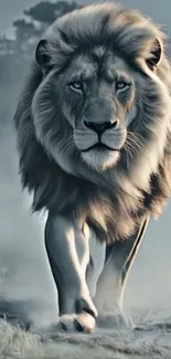 Majestic lion walking through mist in a captivating wallpaper image.