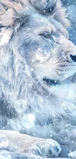 Majestic lion resting in a snowy winter scene with soft blue tones.