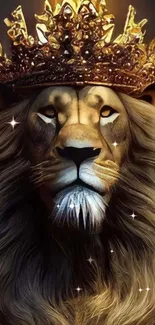 Majestic lion with golden crown wallpaper, ideal for phone backgrounds.