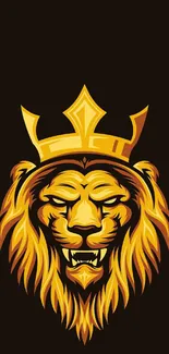 Majestic lion with golden crown on a black background wallpaper.