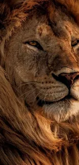 Majestic lion with a deep brown mane.