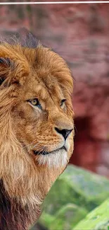 Majestic lion with a golden mane, captured in a side profile on a nature background.