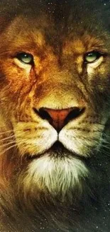 Majestic lion face with golden mane mobile wallpaper.