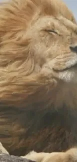 Majestic lion with flowing mane in the wind, set against a blue sky backdrop.