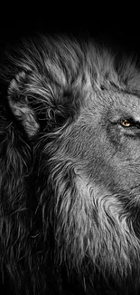 Black and white majestic lion wallpaper for mobile devices.