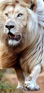 Majestic lion with a flowing mane in a vibrant wildlife setting.