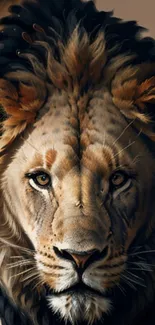 Majestic lion face close-up wallpaper for mobile device.