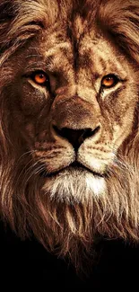 Majestic lion with vibrant eyes in stunning mobile wallpaper.