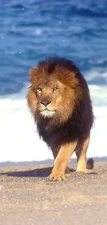 Majestic lion walking along a serene beach with ocean waves.