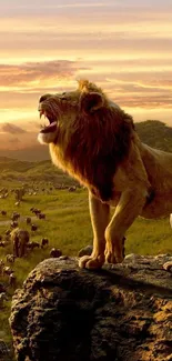 Lion roaring on a rock at sunset with a herd in view.