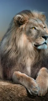 Majestic lion resting on a rocky ledge, set against a serene backdrop.