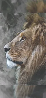 Majestic lion close-up with smoky background.