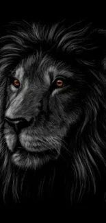 Majestic lion portrait on a dark background wallpaper.