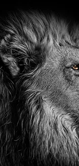 Black and white majestic lion profile wallpaper with striking details.