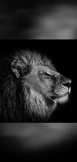 Black and white lion profile wallpaper for mobile featuring majestic mane.