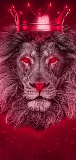 Lion with crown on a red background, fierce and majestic.