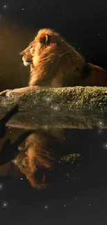 Majestic lion sits with reflection in water, under warm evening light.