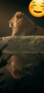 Lion resting on a stone with a serene reflection under the night sky.