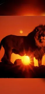 Lion silhouetted against a glowing sunset.