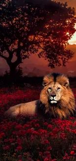 Lion resting in a field of red flowers at sunset with tree silhouette.