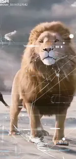 Majestic lion with tech effects on snowy landscape wallpaper.