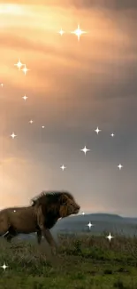 Lion under evening sky with stars and warm sunset glow.