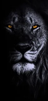 Dark lion wallpaper with golden eyes, capturing elegance and strength.