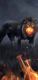 Majestic lion with glowing eyes in dark setting.