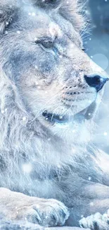Majestic lion reclining in a snowy landscape, creating a serene winter wallpaper.