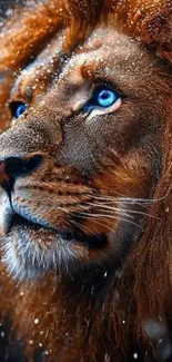 Lion with striking blue eyes in a detailed portrait.