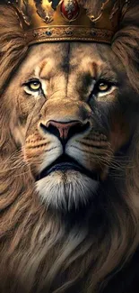 Majestic lion wearing a crown close-up.