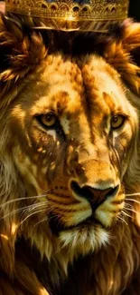 Majestic lion wearing a golden crown in dense jungle.