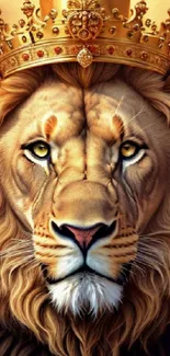 Majestic lion with golden crown wallpaper for mobile devices.