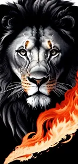 Powerful lion with fiery mane mobile wallpaper.