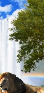 Lion resting near a waterfall under a lush tree with rainbow.