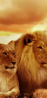 Lion and lioness sitting together in a sunset savanna landscape.